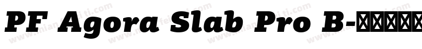 PF Agora Slab Pro B字体转换